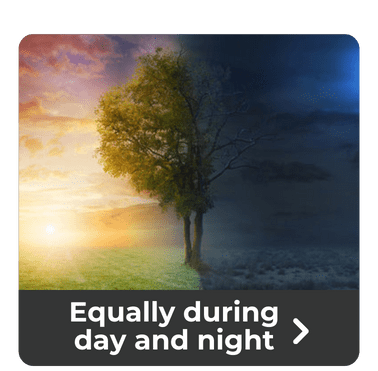 equally during day and night